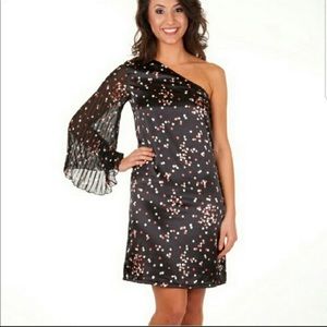 NEW Emma Sheer Crinkle Chiffon one shoulder dress